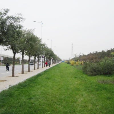 二環(huán)綠化改造工程